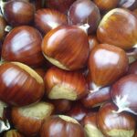 Imagem anterior do produto