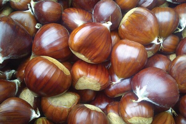 Castanha de Trás-os-Montes 1kg